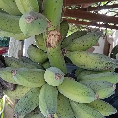 Quinta Do Chao Do Vale *