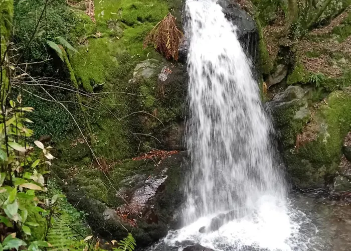 Semesterbostad Quinta Do Chao Do Vale